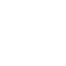icon-themeinfo